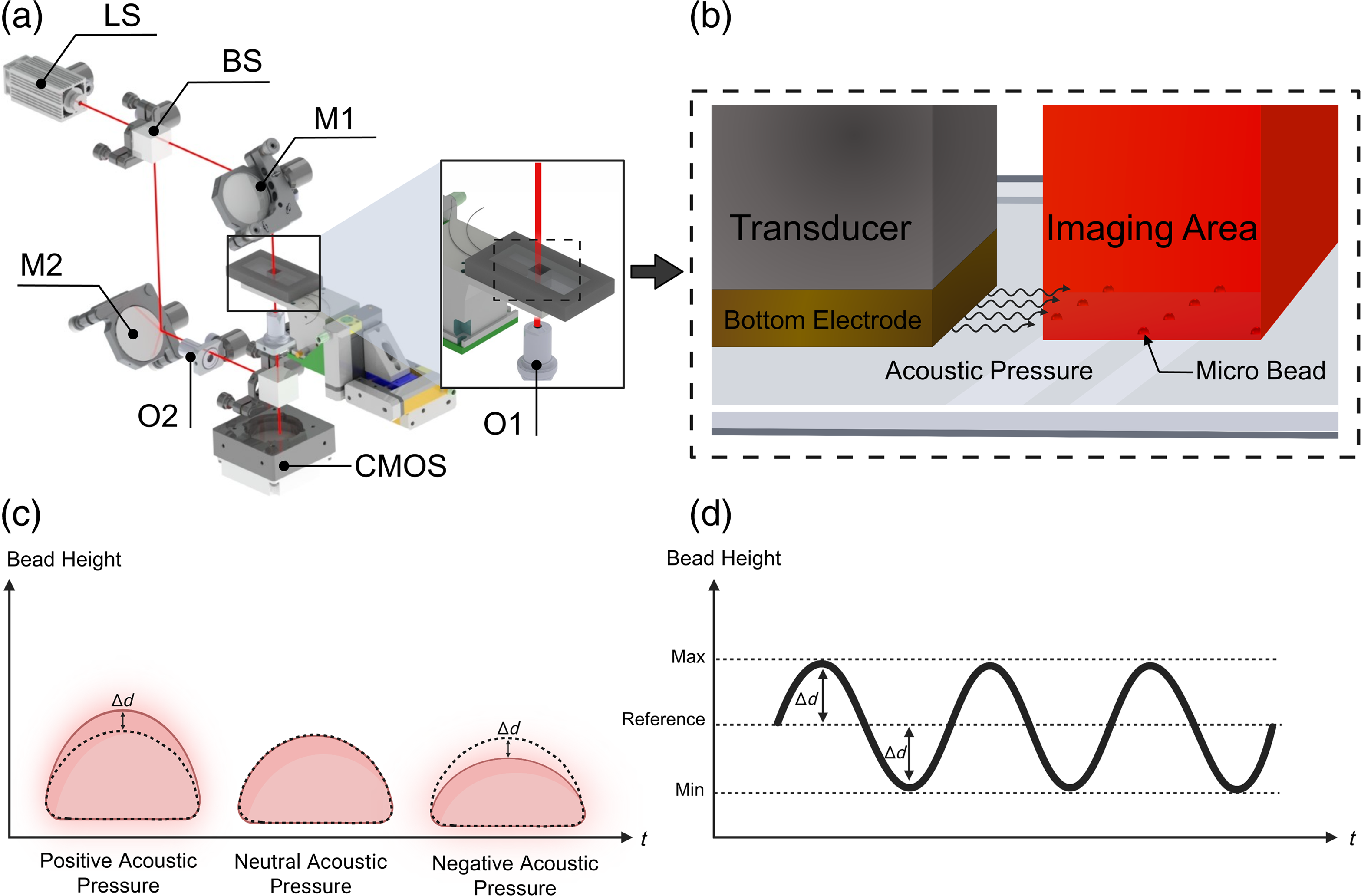 Noninvasive holographic sensor system for measuring stiffness of soft ...